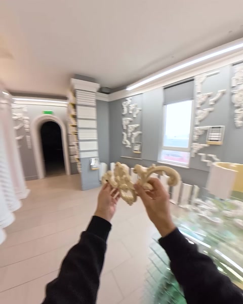 Showroom koridorunda sütun sergisi ve giriş kapısı görünümü